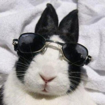 Send Me a Message on Twitter